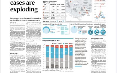 Singapore’s Dengue Cases